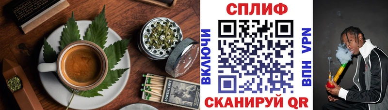 сколько стоит  мега онион  Еда ТГК марихуана  Новоаннинский 