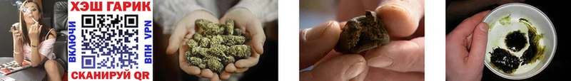 ГАШ Cannabis Новоаннинский