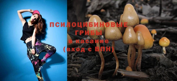 МДПВ Алексеевка