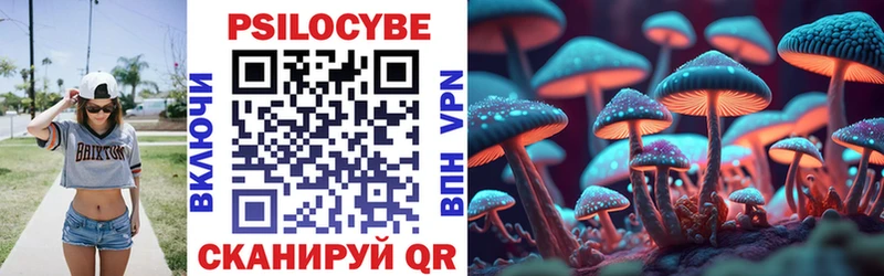Псилоцибиновые грибы мицелий  Новоаннинский 